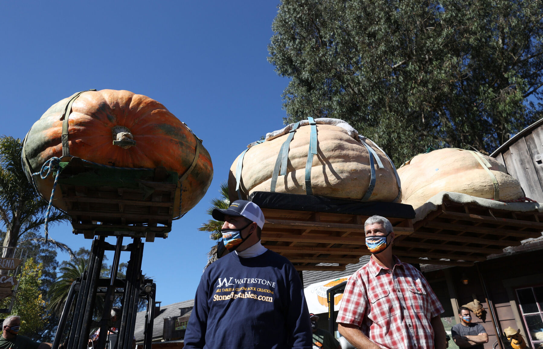 Minnesota man wins the 'Super Bowl of Pumpkins' with 2,350-pound pumpkin named The Tiger King